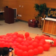 Screenshot: Fastest Time To Pop 100 Balloons By A Dog - Guinness World Records
